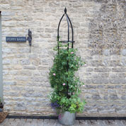 obelisque pour plantes grimpantes oxford - 210 cm
